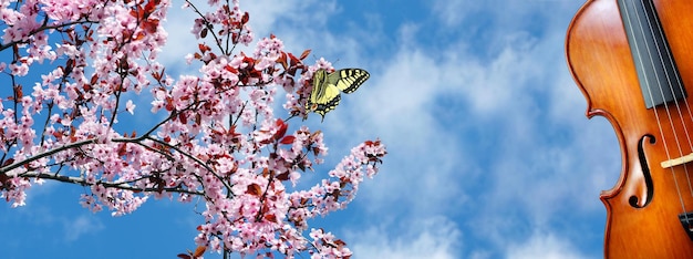 Una mariposa en una flor rosa