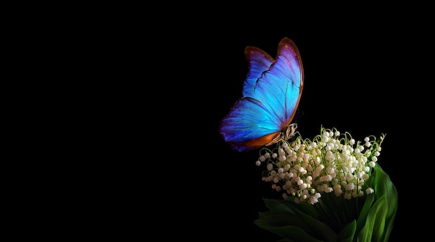 Foto una mariposa con las letras l en ella