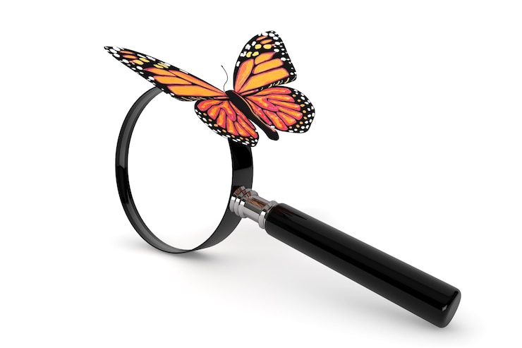 Foto mariposa con lupa sobre un fondo blanco.