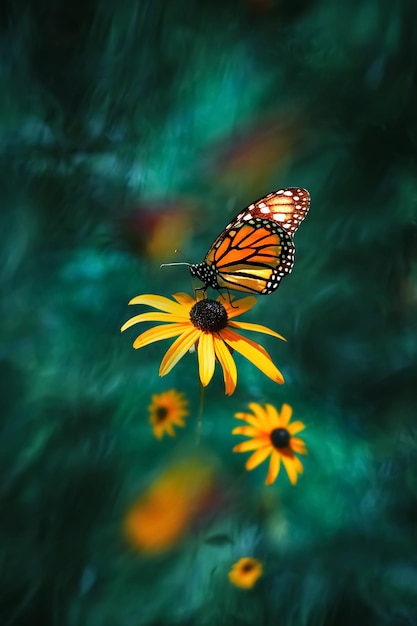 Mariposa monarca naranja sobre una flor amarilla en un jardín encantado