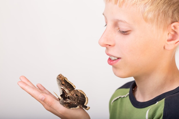 Mariposa Saturnia en la mano del niño