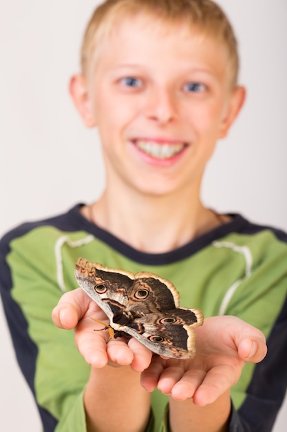 Mariposa Saturnia en la mano del niño