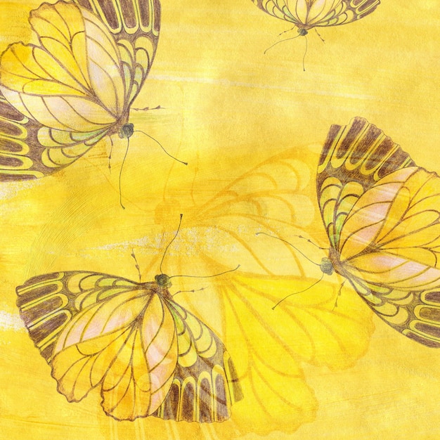 Mariposa sobre papel digital de fondo de acuarela amarilla con mariposa dibujada a mano