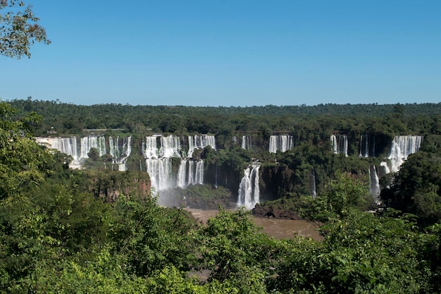 Las mariposas al lado de la carretera en las Cataratas del Iguazú