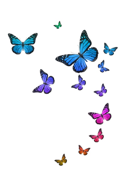 Mariposas tropicales de colores volando sobre un fondo blanco. plantilla para el diseño