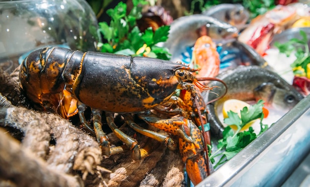 Mariscada con una variedad de tipos de pescado en exhibición sobre hielo en un restaurante