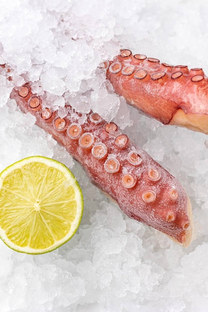 marisco congelado en una pescadería