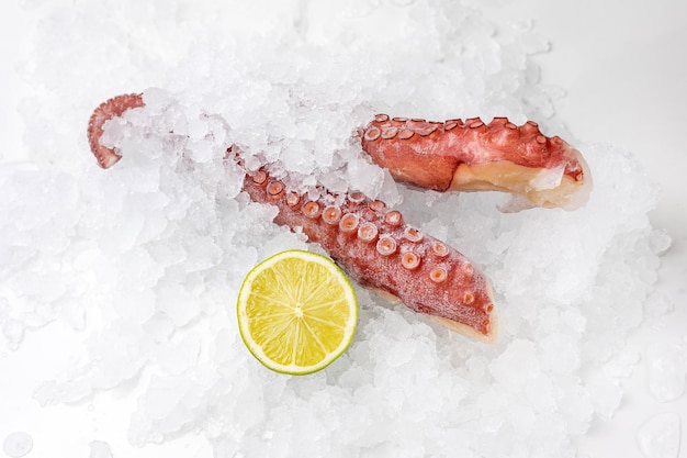 marisco congelado en una pescadería