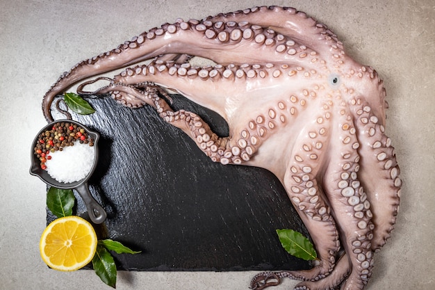 Marisco entero fresco pulpo crudo con hierbas y especias sobre fondo de piedra gris