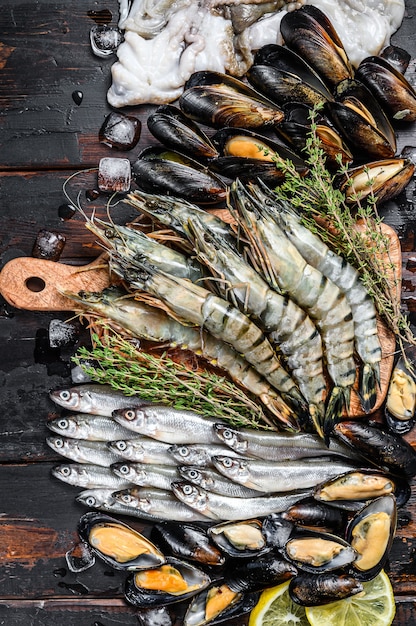 Foto mariscos crudos langostinos tigre, gambas, mejillones azules, pulpos, sardinas, olía.