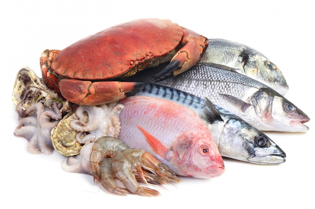 Mariscos frescos aislados