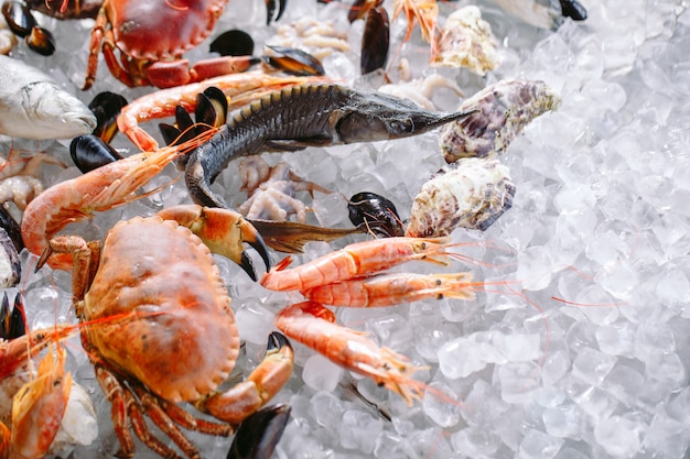 Mariscos en el hielo