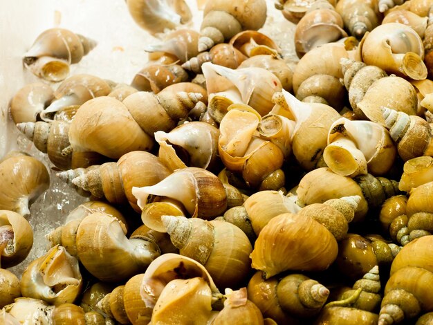 Mariscos en el mercado de pescado de Tokio.