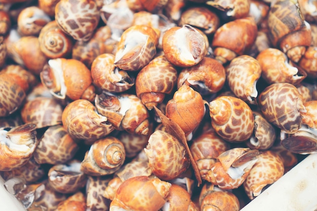 mariscos en el mercado