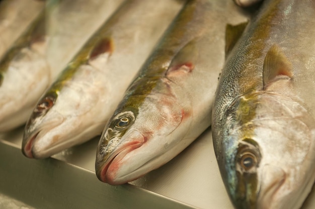 mariscos que se venden en el mercado público