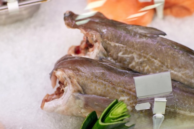 mariscos, venta y concepto de alimentos - pescado fresco refrigerado en hielo en el puesto de comestibles