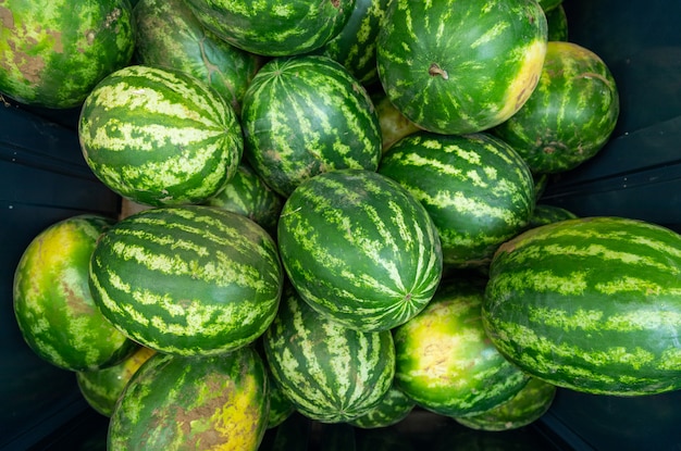 Markt des gestreiften reifen Wassermelonen-AR-Landwirts oder Draufsicht der Gemischtwarenladenluft.