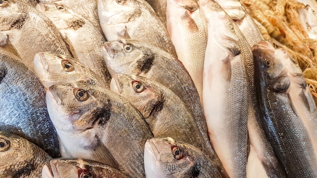 Markt für Meeresfrüchte und rohen Fisch. Food-Konzeptfoto.