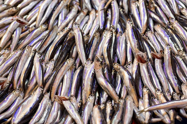 Markt für Meeresfrüchte und rohen Fisch. Food-Konzeptfoto.