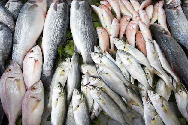 Markt für Meeresfrüchte und rohen Fisch. Food-Konzeptfoto.