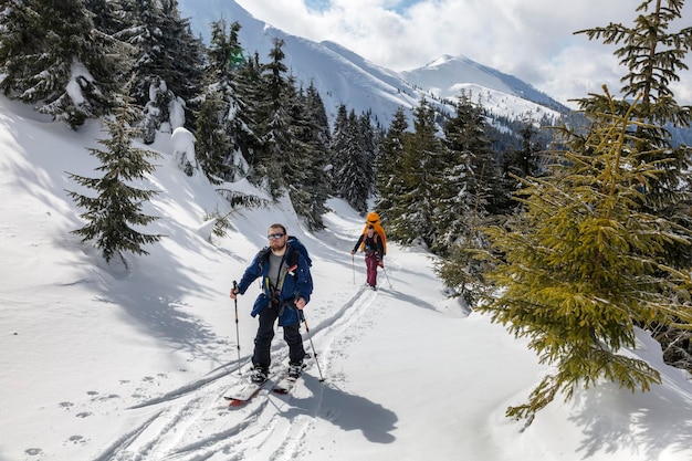 Marmarosy die Karpaten UKRAINE 22. FEBRUAR 2022 Skitourist auf einem Splitboard zwischen schneebedeckten Fichten und Tannen auf dem Bergpfad Adrenalinabenteuer im Hinterland