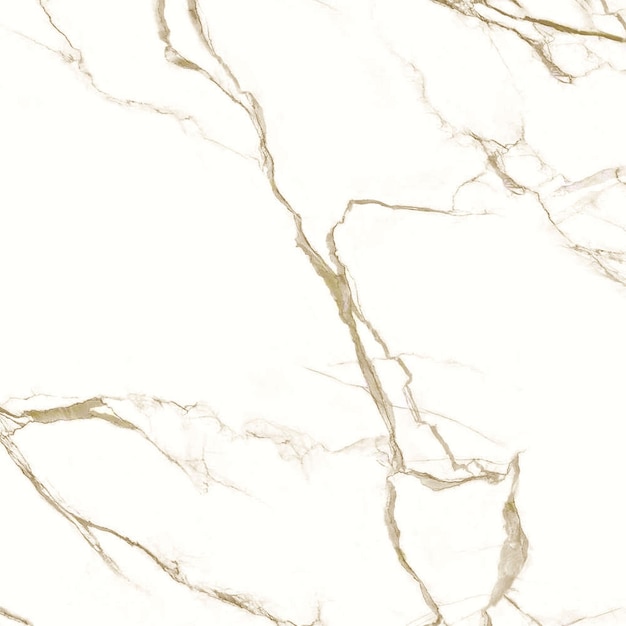 Mármore branco com veias de ouro