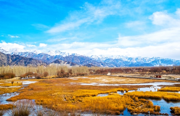 Marrom, árvore, e, floresta, neve, vista montanha, leh, e, congelado, ligado, rios, em, leh, ladakh, em, índia, pequeno, terra tibet