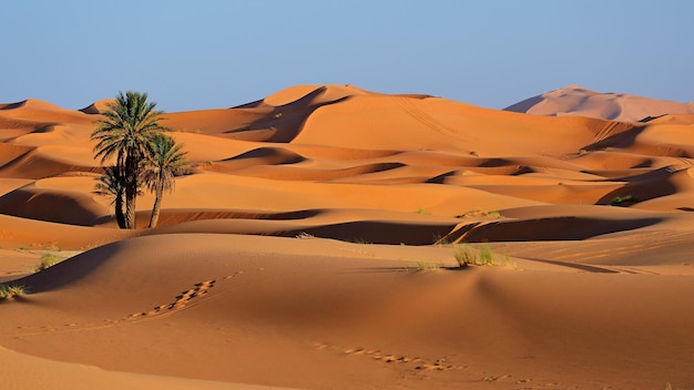 Marruecos Dunas de arena del desierto del Sáhara