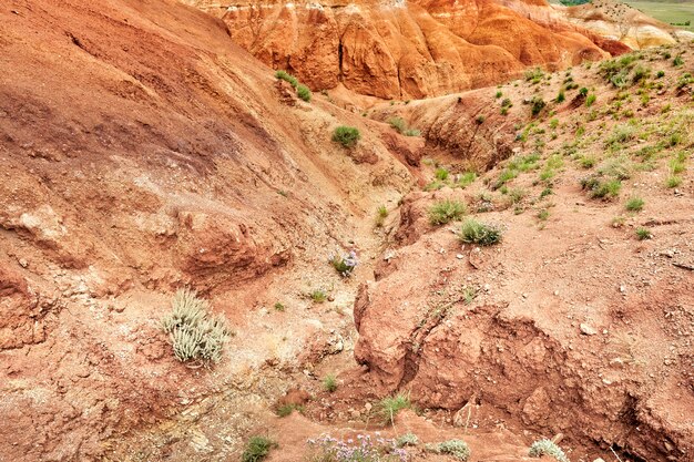 Mars-Erleichterung. Rote Hügel mit spärlicher grüner Vegetation.