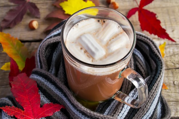 Marshmallow de cacau quente em um cachecol de lã tricotado. Bebida de aquecimento.