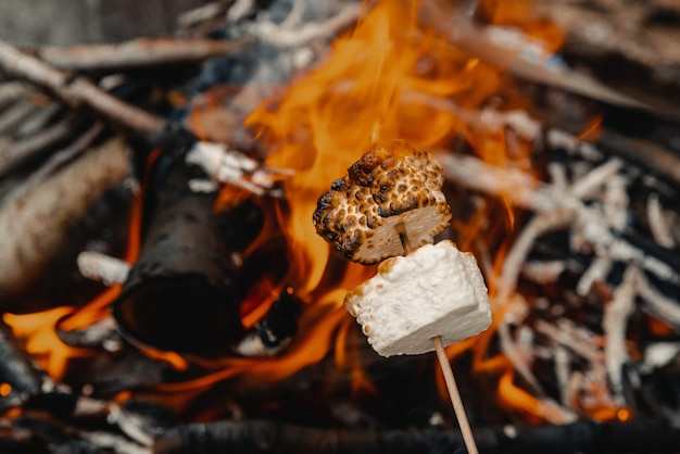 Marshmallow no palito frito na fogueira