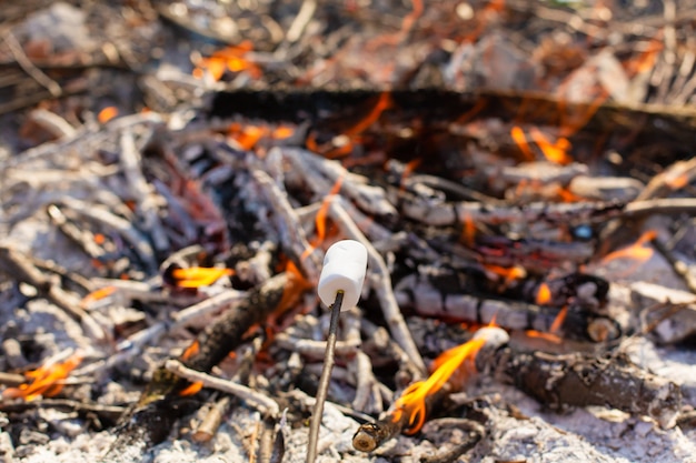 Marshmallows am Lagerfeuer braten