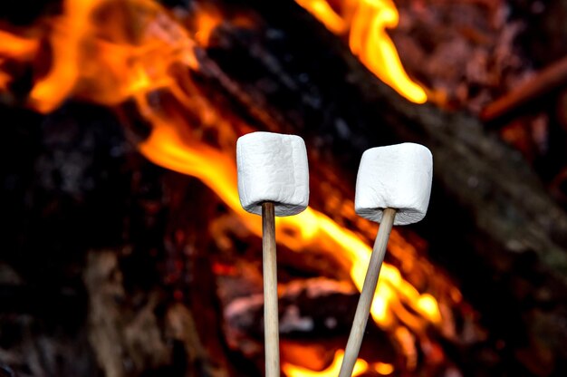 Marshmallows na estaca de madeira na fogueira