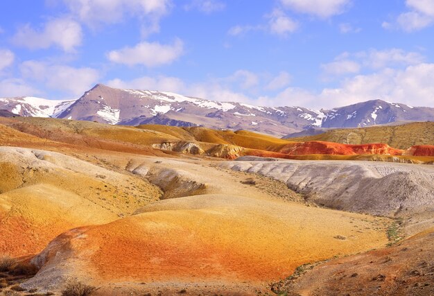 Marte en las montañas de Altai La pendiente de la terraza del río con la exposición de arcillas coloridas