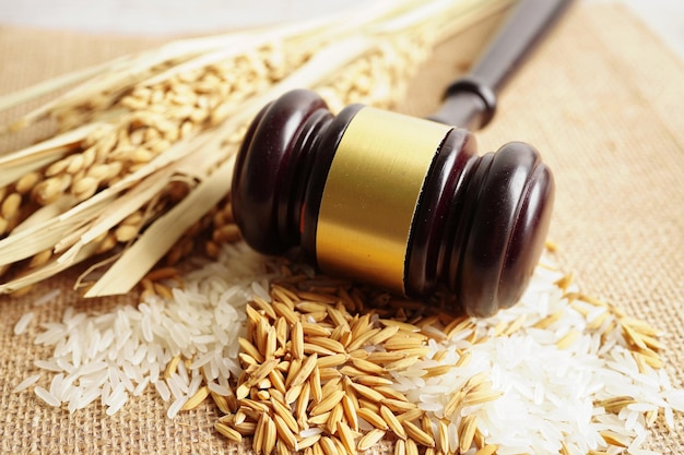 Martelo de juiz com arroz de bom grão da fazenda agrícola Lei e conceito de tribunal de justiça