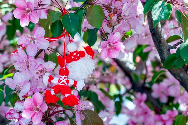 Martenitsa en un árbol en flor Símbolo de la primavera Tradición del 1 de marzo Día de Baba Marta Espacio de copia Enfoque selectivo