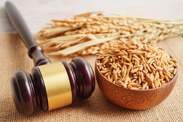 Martillo de juez con arroz de buen grano de la granja agrícola Concepto de derecho y tribunal de justicia