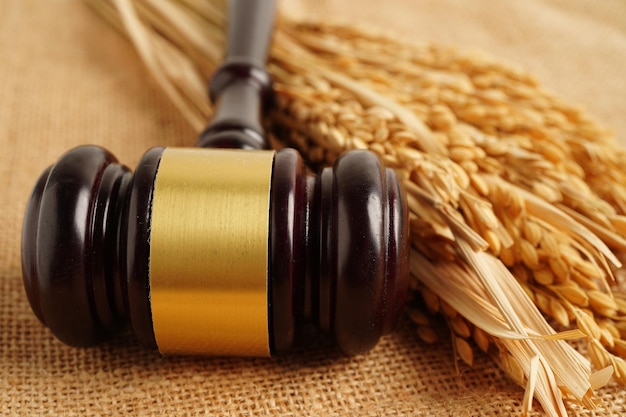 Martillo de juez con arroz de buen grano de la granja agrícola Concepto de derecho y tribunal de justicia