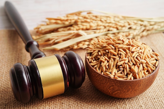 Martillo de juez con arroz de buen grano de la granja agrícola Ley y concepto de tribunal de justicia