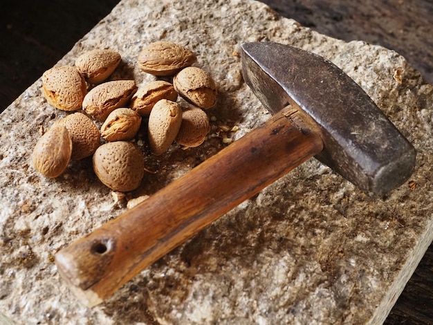 Martillo viejo y algunas almendras en una piedra