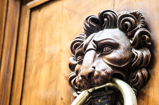 Martinete de cabeza de león en una antigua puerta de madera en Toscana - Italia