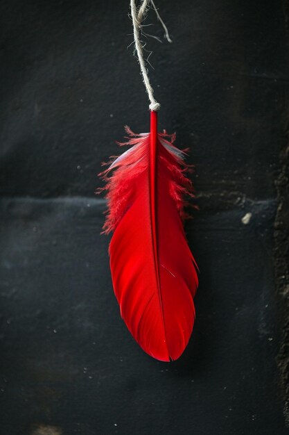 Foto a martisor con un sencillo