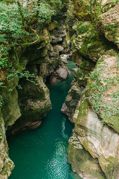 Martvili Canyon in Georgia. Schöne natürliche Schlucht mit Gebirgsfluss.