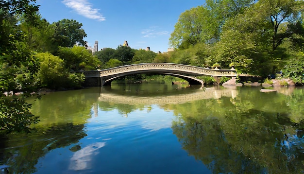 Más allá del puente con el río y el árbol verde