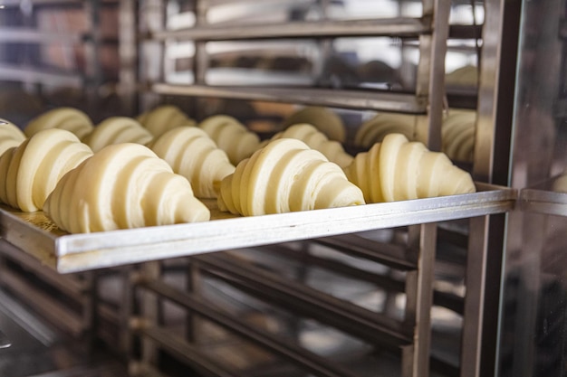 Masa de croissant a prueba de hornear en una hoja