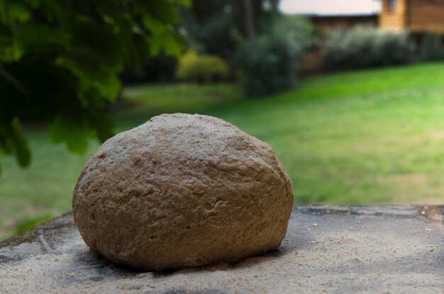 masa de trigo entero lista para su uso en la encimera de madera con fondo natural de puesta de sol