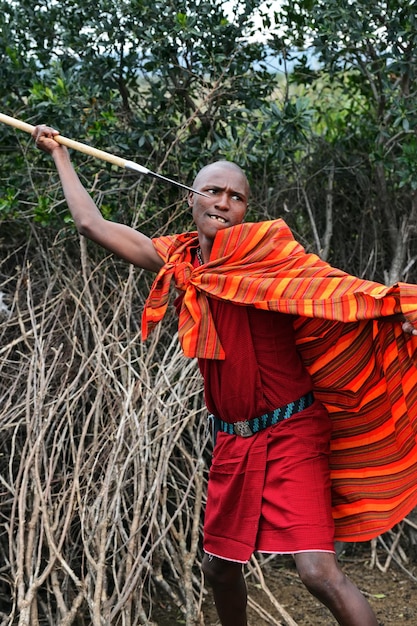 Masai mara, quênia - 13 de agosto: guerreiros masai dançando saltos tradicionais como cerimônia cultural. assim como as mulheres cantam e dançam. parque nacional masai mara, 13 de agosto de 2015 no quênia