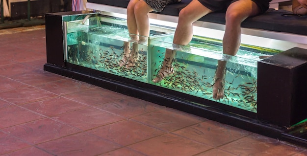 Masaje de pies en acuario por peces en tailandia.