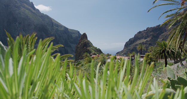 Masca Gorge e aldeia na ilha de Tenerife Ilhas Canárias, Espanha