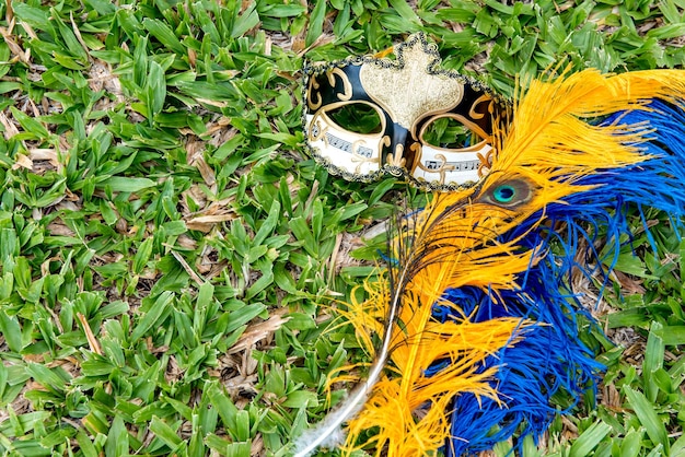 Máscara de carnaval y plumas de colores sobre hierba